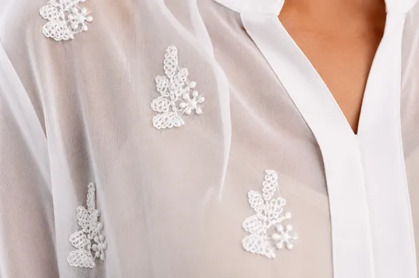 Delicate_chikankari__on_sheer_gorgette_blouse