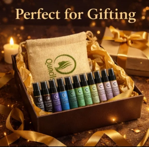 Quncils_Signature_Tester_Collection_EDP_Mini_Tester_Pack_–_5_ml_×_10_Eau_de_Parfum__-__50_ml_(For_Men_&_Women)