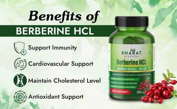 Berberine_Hcl_600Mg_Capsules_Herbal_Supplement_With_Barberry_Extract_For_Metabolism_Insulin_Sensitivity_Antioxidant_Support_Ayurvedic_Formula_120_Capsules
