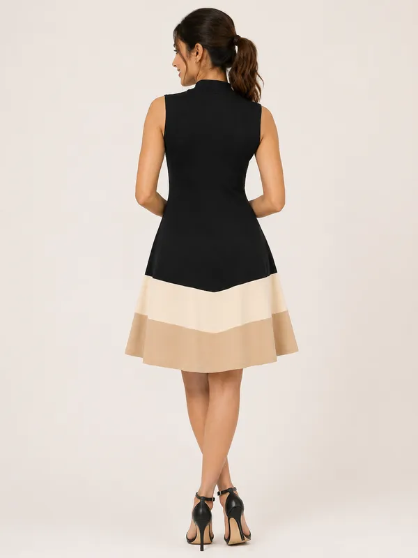 Black_And_Chiku_Rib_Lycra_Premium_Western_Dress_For_Women