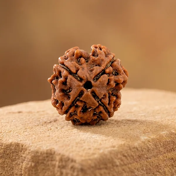 Brown_Original_4_Mukhi_(Four_Mukhi)_Nepali_Rudraksha_Premium_Bead_For_Unisex_Spiritual_Practitioners,_Yoga_Enthusiasts