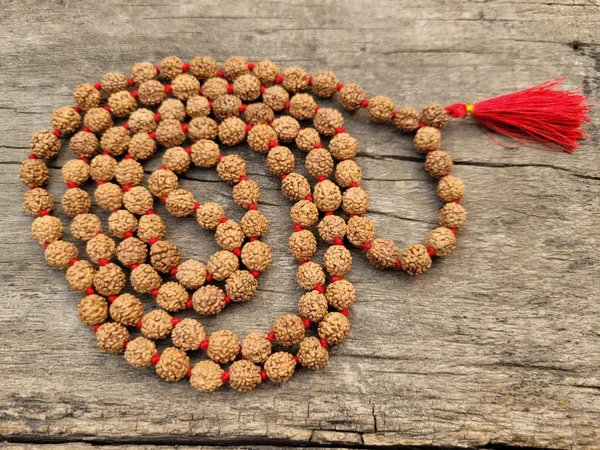 Brown_Original_5_Mukhi_Rudraksha_Premium_Mala_For_Unisex