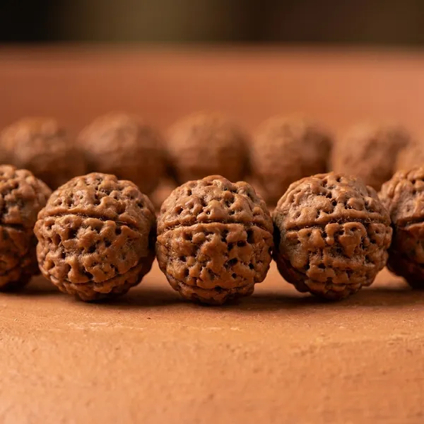 Brown_Original_Nepali_Yoni_Rudraksha_Premium_Rudraksha_Bead_For_Women