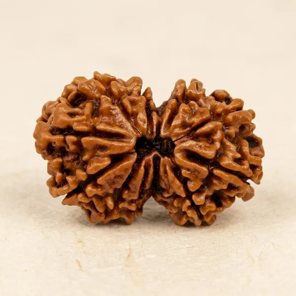 Brown_Original_Nepali_Gauri_Shankar_Rudraksha_Premium_Rudraksha_Beads_For_Unisex