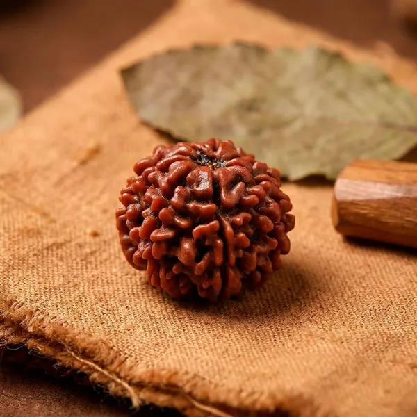 Brown_Original_Nepali_9_Mukhi_Rudraksha_Premium_Nine_Face_Rudraksha_Beads_For_Unisex_Spiritual_Seekers,_Meditation_Practitioners