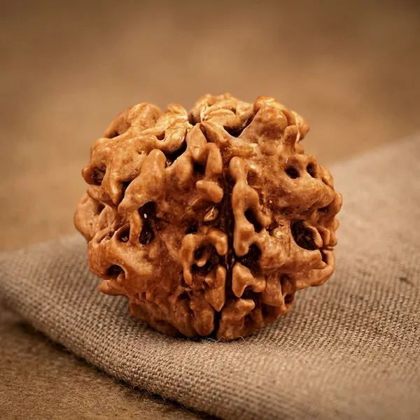 Brown_Original_1_Mukhi_Rudraksha_Premium_One_Face_Rudraksha_Bead_For_Unisex