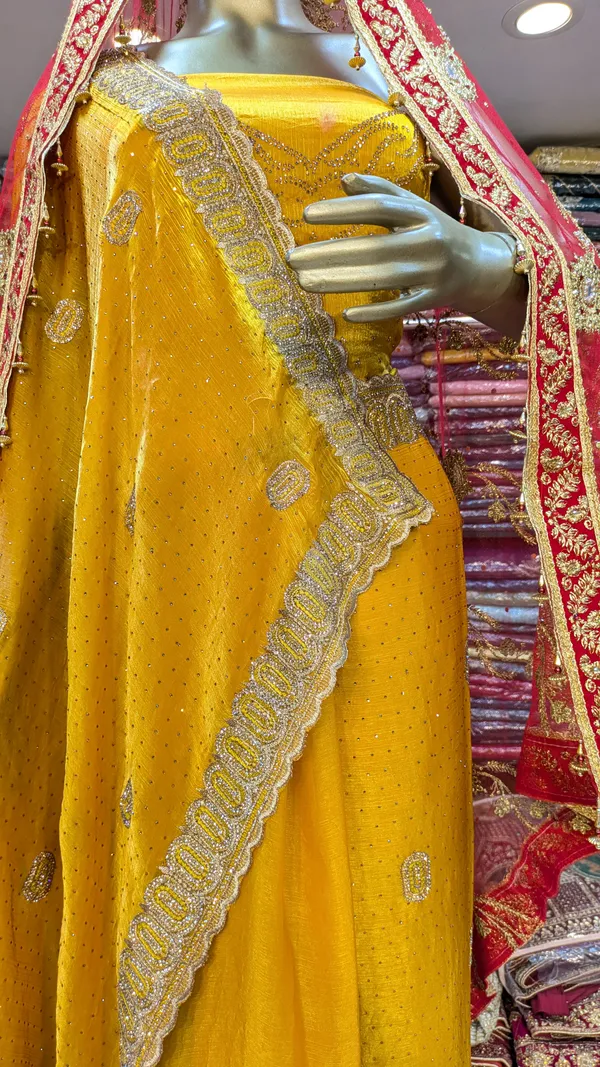 Yellow_Fendi_Saree_With_Embellished_Border_And_Dupatta