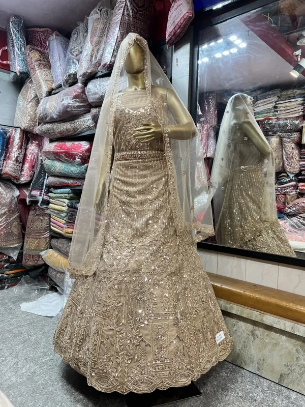 Beige_Net_Lehenga_Choli_Set_With_Embellishments_And_Dupatta
