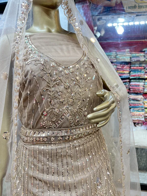 Beige_Net_Lehenga_Choli_Set_With_Embellishments_And_Dupatta