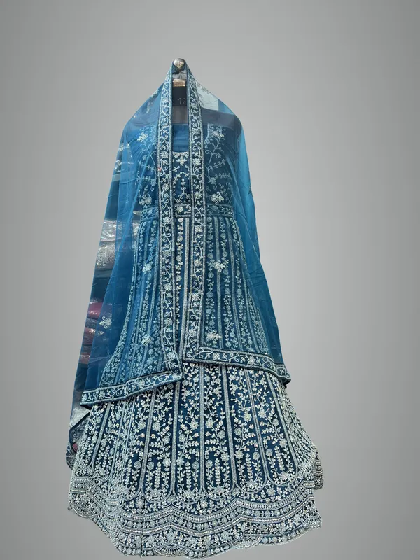 Blue_Net_Lehenga_Choli_Set_With_Embroidery_And_Dupatta