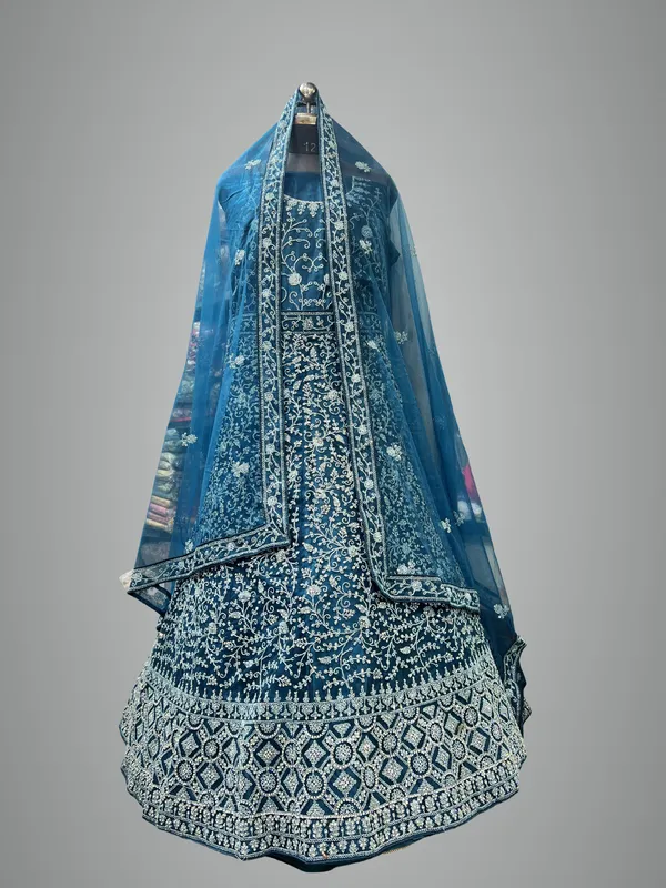 Blue_Net_Lehenga_Choli_Set_With_Embroidery_And_Dupatta