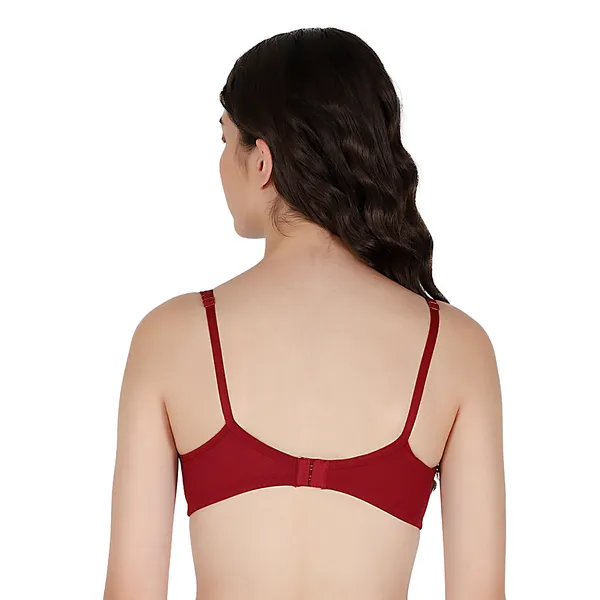 Beige_And_Pink_Everyday_Bra_for_Women