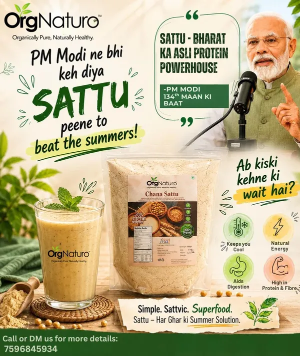 OrgNaturo_Mix_Sattu