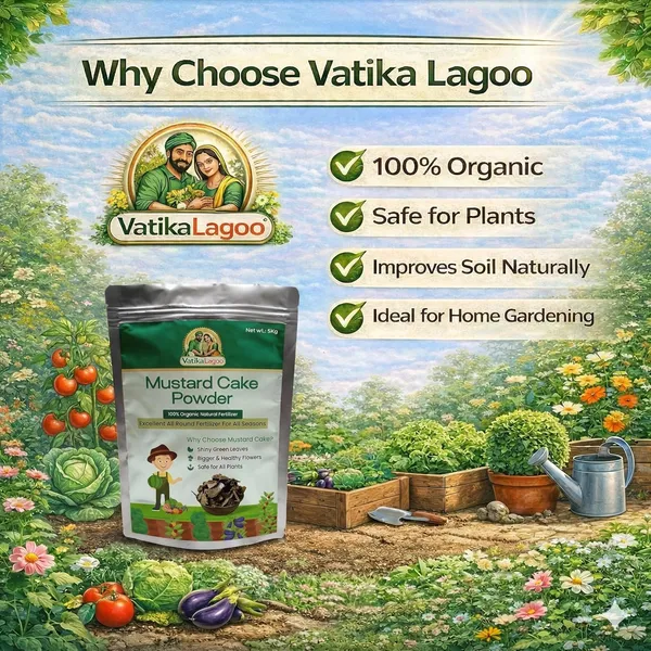 Organic_Fertilizer_Soil_Conditioner_Promotes_Healthy_Growth_Flowering_Yield_Mustard_Oil_Cake_Powder_For_Garden_Lawn_Indoor_Plants
