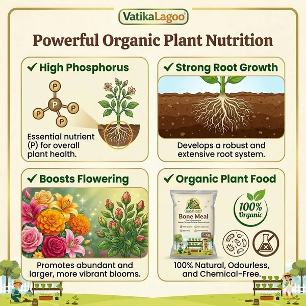 Organic_Rich_Fertilizer_Promotes_Strong_Roots_Flowering_Natural_Plant_Growth_Booster_Bone_Meal_Powder_For_Gardening_Plants