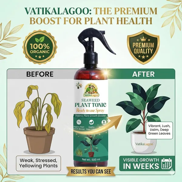 Organic_Growth_Booster_Improves_Root_Development_Immunity_Yield_Seaweed_Liquid_Spray_For_Plants