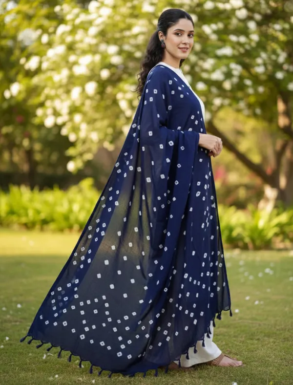 Navy_Blue_And_White_Viscose_Rayon_Fancy_Dupatta_For_Women
