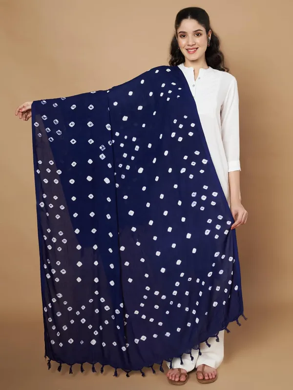 Navy_Blue_And_White_Viscose_Rayon_Fancy_Dupatta_For_Women