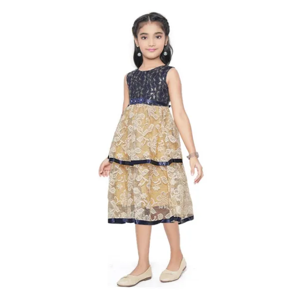 Blue_Fancy_Net_Sleeveless_Round_Neck_Dress_For_Girls