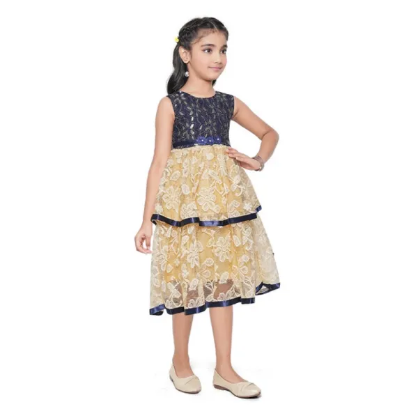 Blue_Fancy_Net_Sleeveless_Round_Neck_Dress_For_Girls