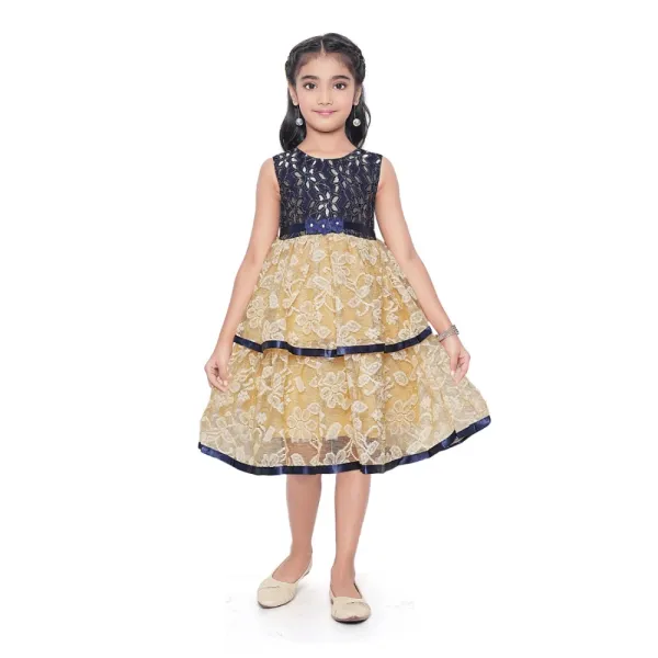 Blue_Fancy_Net_Sleeveless_Round_Neck_Dress_For_Girls