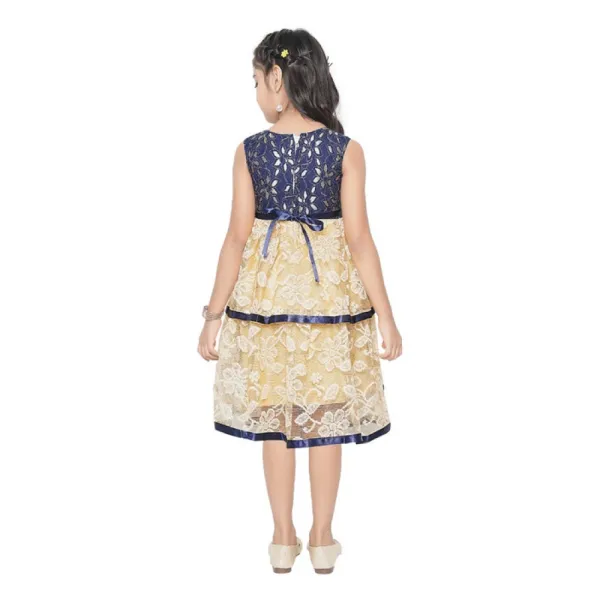 Blue_Fancy_Net_Sleeveless_Round_Neck_Dress_For_Girls