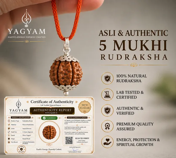 Hanuman_Gada_5_Mukhi_Nepali_Rudraksha_Pendant_&_Chain_(Silver_Coated)
