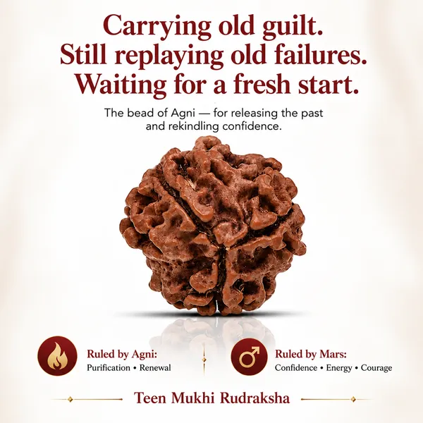 Original_3_Mukhi_Nepali_Rudraksha_