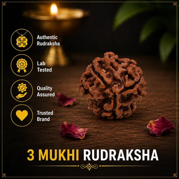 Original_3_Mukhi_Nepali_Rudraksha_