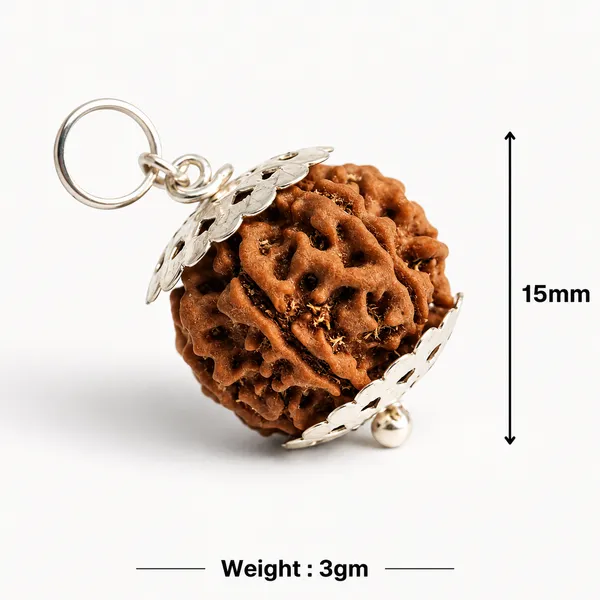Original_5_Mukhi_Nepali_Rudraksha_(Gold_Capped)