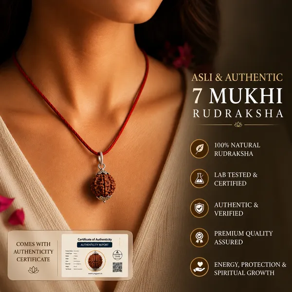 Original_7_Mukhi_Nepali_Rudraksha_(Silver_Capped)