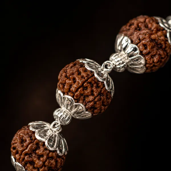 Premium_Silver-Capped_Rudraksha_Mala_(54_Beads)
