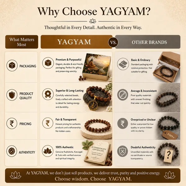 Premium_Silver-Capped_Rudraksha_Mala_(54_Beads)