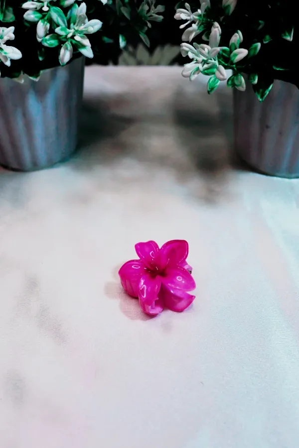 Pretty_Essentials_Gift_Box_Random_Colour