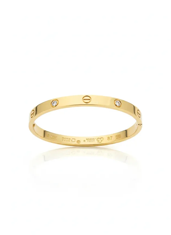 18K_Gold_Plated_Stainless_Cartier_Love_Bracelet