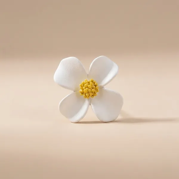 Pack_Of_2__Flower_Stud_Earrings_For_Women