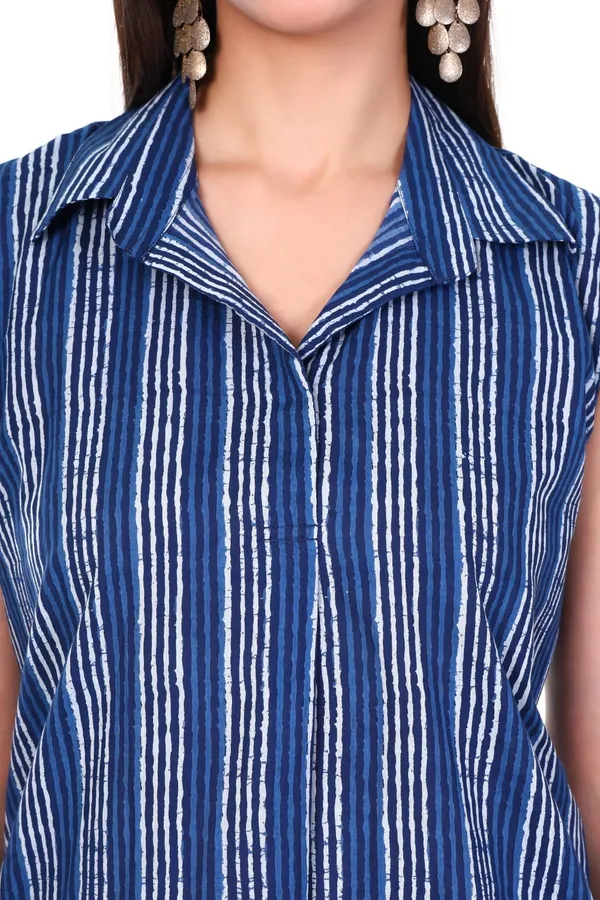 Blue_Striped_Cotton_Printed_Sleeveless_Collared_A-Line_Dress_With_Pockets