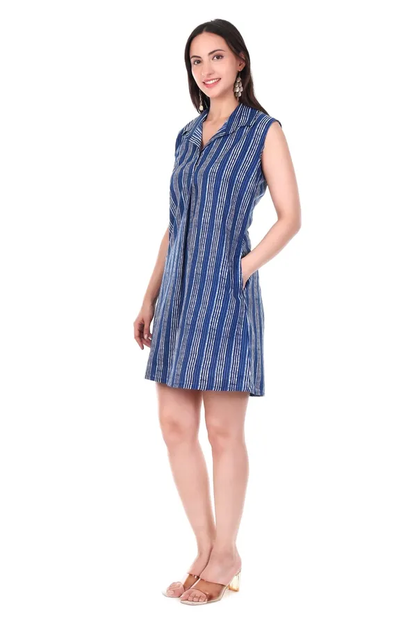 Blue_Striped_Cotton_Printed_Sleeveless_Collared_A-Line_Dress_With_Pockets