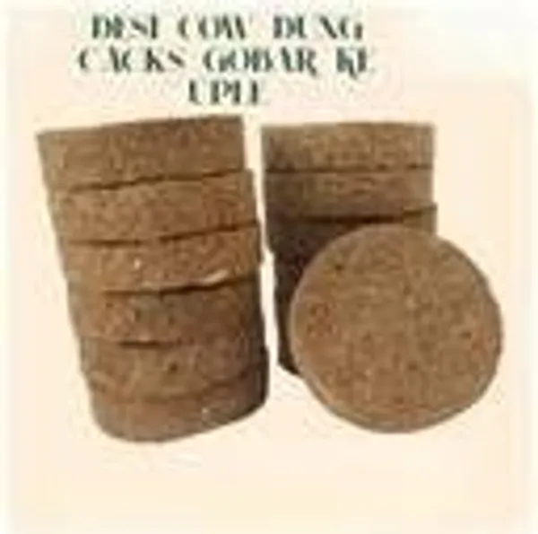 Pure_Cow_Dung_Cake_For_Puja_20_Pcs_Natural_Organic_Upla_Kande_Eco_Friendly_Hawan_Samagri_For_Puja_Homam_Rituals_Compost_Fertilizer_Pack_Of_2