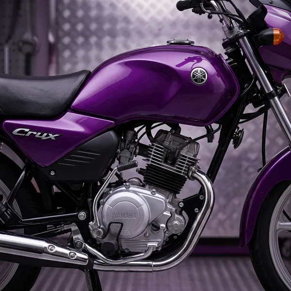 Full_Fiber_Body_Kit_For_Star_City_Om_Purple