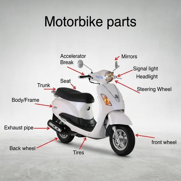 Full_Fiber_Body_Kit_For_Activa-I_Pearl_Amaze_White