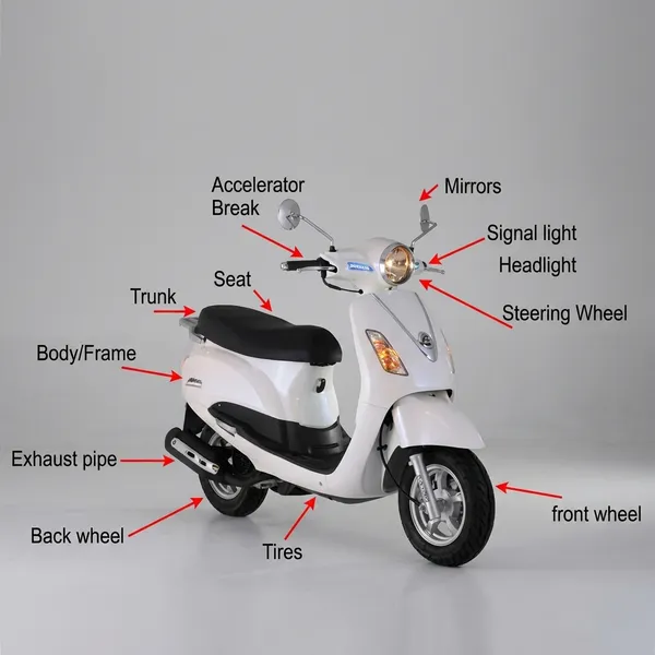 Full_Fiber_Body_Kit_For_Dio_Bs4_White_Amej