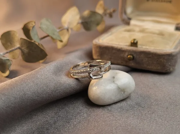 Infinity_Knot_Silver_Stainless_Steel_Premium_Ring