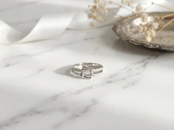 Infinity_Knot_Silver_Stainless_Steel_Premium_Ring