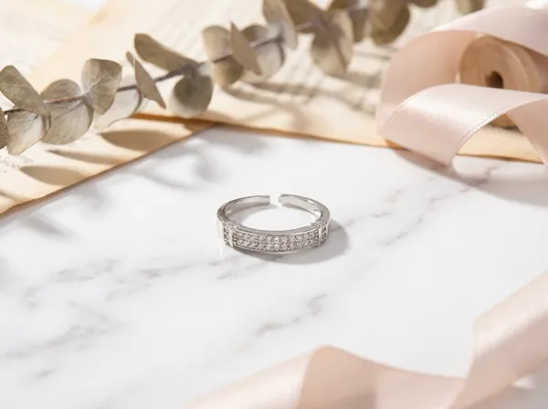 Crystal_Crest_Silver_Stainless_Steel_Premium_Ring