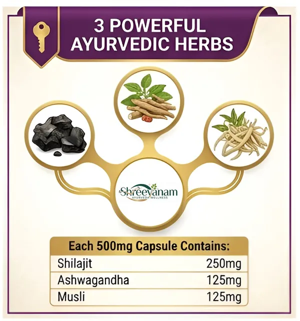 Shilajit_Pro_Capsule