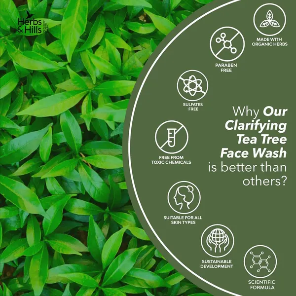 Herbs_&_Hills_Organic_Tea_Tree_Face_Wash_For_Acne_Control_(Pack_Of_2)