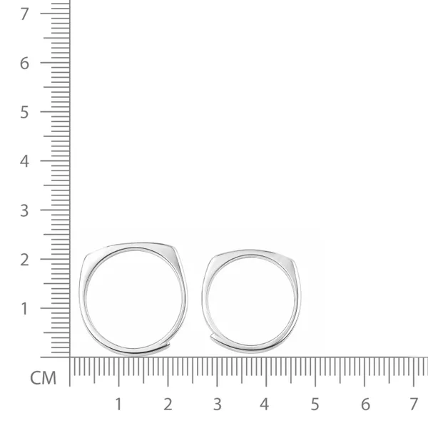 Silver-Tone_Couple_Ring_Set_For_Partners_Free_Size