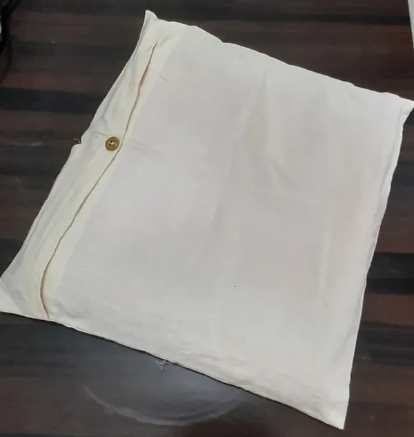 Protective_Bags_For_Sarees-Pack_Of_2