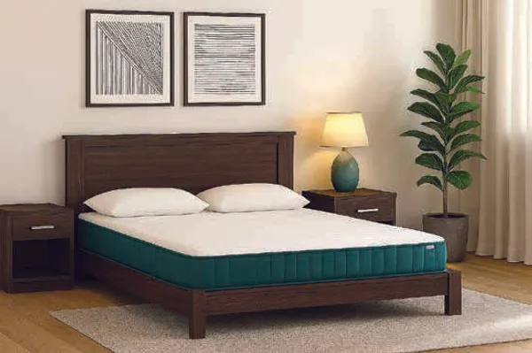 Dream_Pro_Mattress_|_White_And_Teal_Green